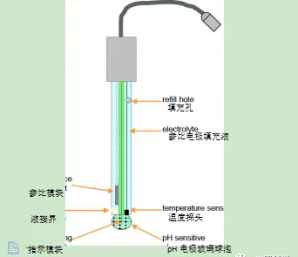 PH電極結構