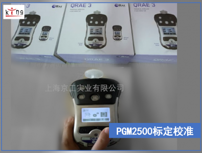 市政水廠(chǎng) 四合一氣體檢測(cè)儀PGM2500標(biāo)定校準(zhǔn)